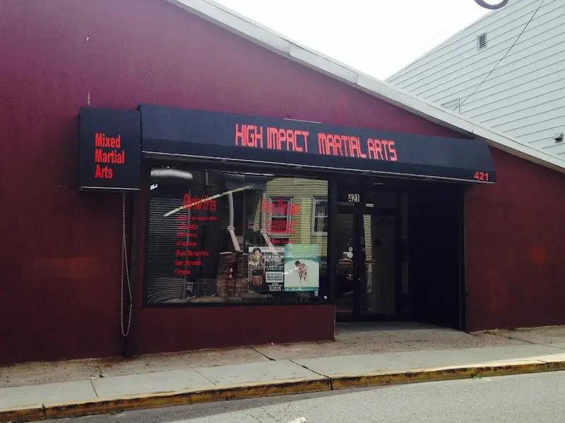 High Impact Martial Arts BJJ Academy - photo 2