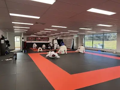 High Rollers Canberra BJJ Academy - photo 1