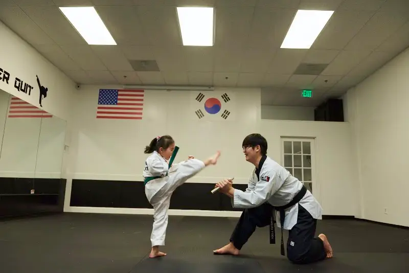 Himchari Martial Arts - Burke Commons BJJ Academy - photo 2