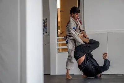 HNL JIU JITSU ACADEMY BJJ Academy - photo 3