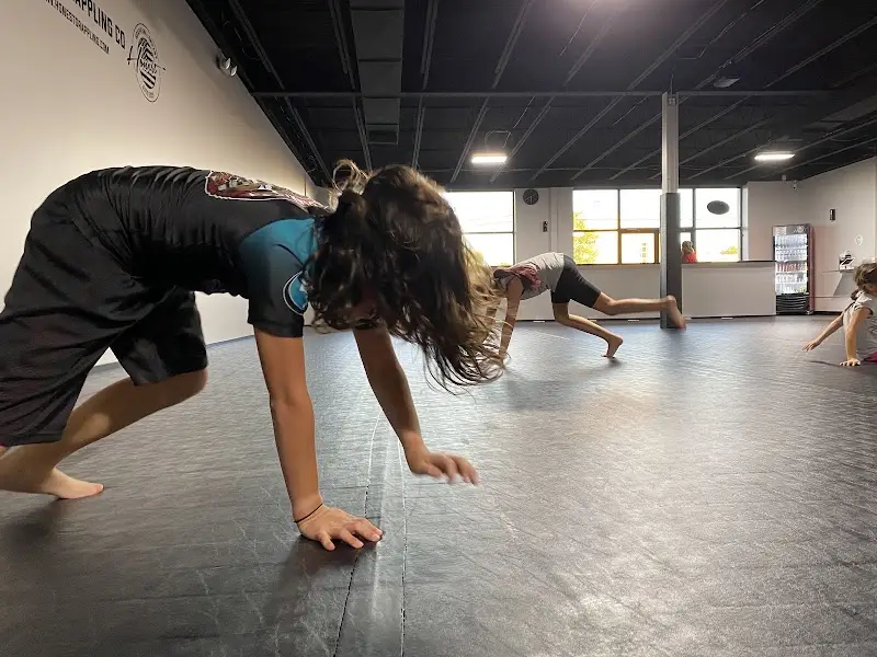 Honest Grappling Co. BJJ Academy - photo 1
