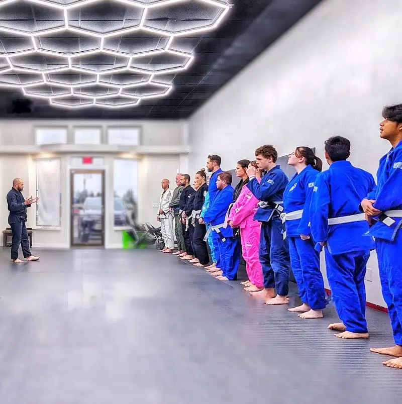 Honeybear Brazilian Jiu-Jitsu BJJ Academy - photo 2