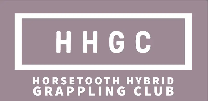 Horsetooth Hybrid Grappling Club BJJ Academy - photo 1