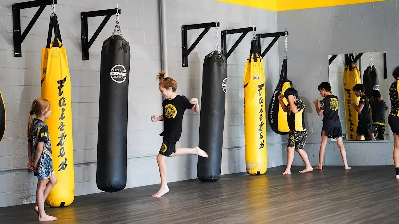 House of Dragons Martial Arts BJJ Academy - photo 1