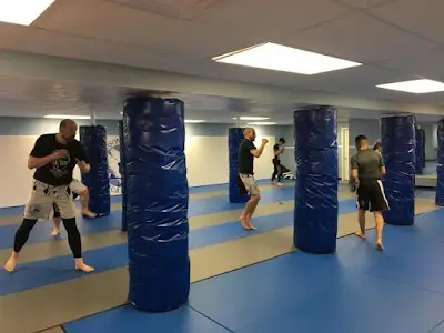 Hudson Combat Academy BJJ Academy - photo 3
