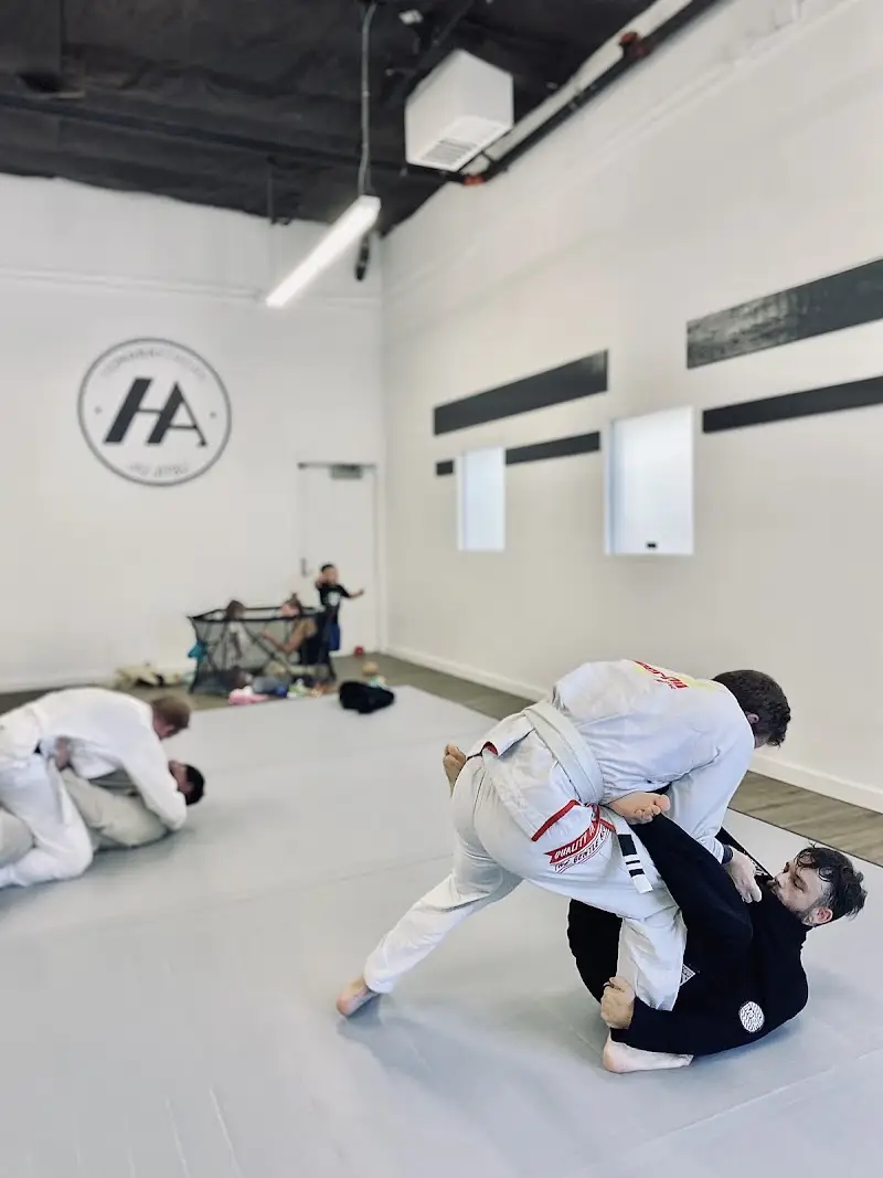 HumanArtwork Jiu Jitsu BJJ Academy - photo 2