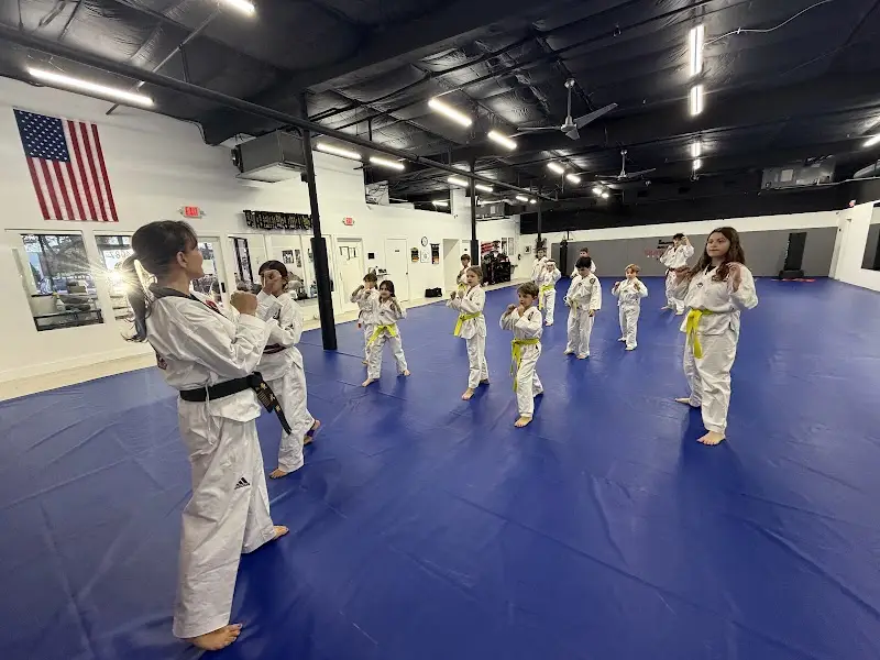 Hwang's Martial Arts BJJ Academy - photo 2