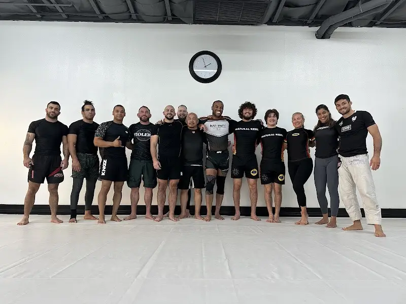 Hybrid Jiujitsu BJJ Academy - photo 1