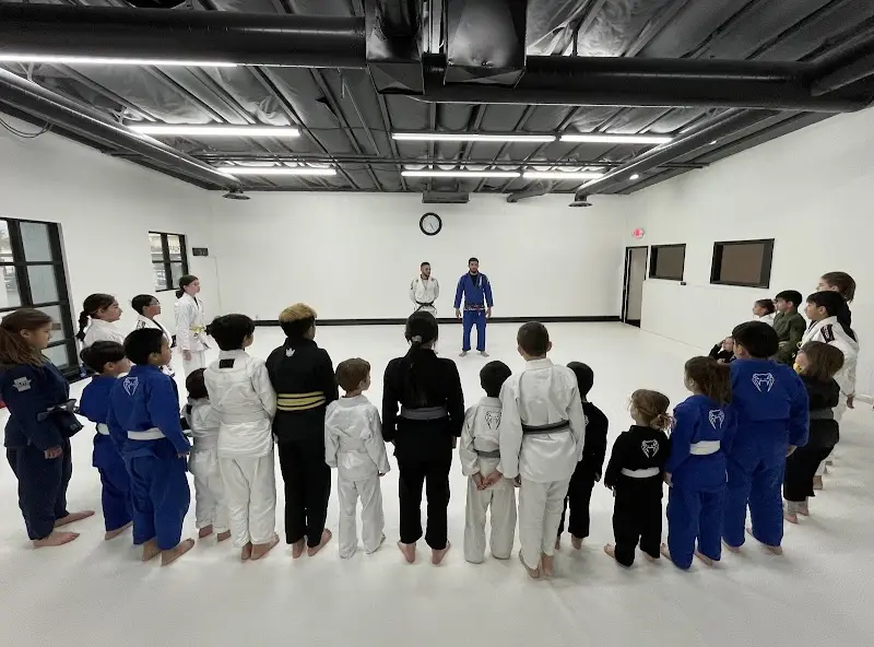Hybrid Jiujitsu BJJ Academy - photo 2