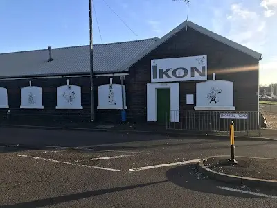 Ikon Martial Art & Fitness Centre BJJ Academy - photo 2