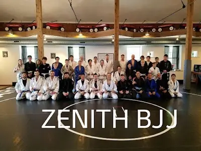 Illinois Brazilian Jiu-Jitsu Academy BJJ Academy - photo 2