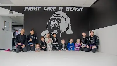 Illinois Brazilian Jiu-Jitsu Academy BJJ Academy - photo 4
