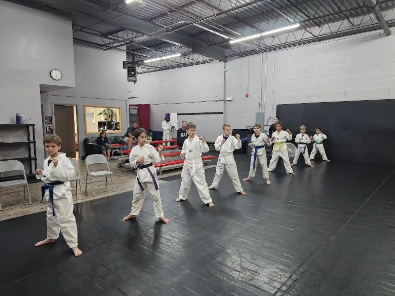 Illinois Martial Arts Academy BJJ Academy - photo 1