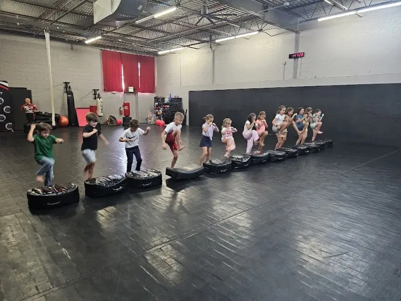 Illinois Martial Arts Academy BJJ Academy - photo 2