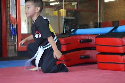 IMC Wetherill Park Martial Arts Centre BJJ Academy - photo 3