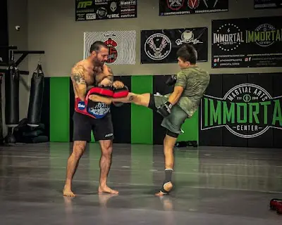 Immortal Martial Arts Center BJJ Academy - photo 1