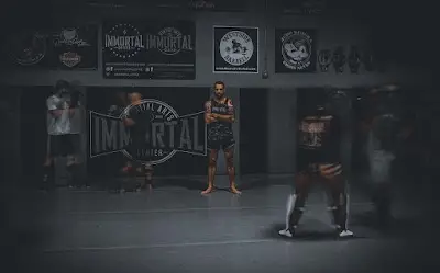 Immortal Martial Arts Center BJJ Academy - photo 2