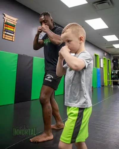 Immortal Martial Arts Center BJJ Academy - photo 3