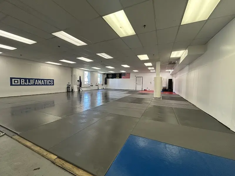 Immortals Jiu Jitsu BJJ Academy - photo 1