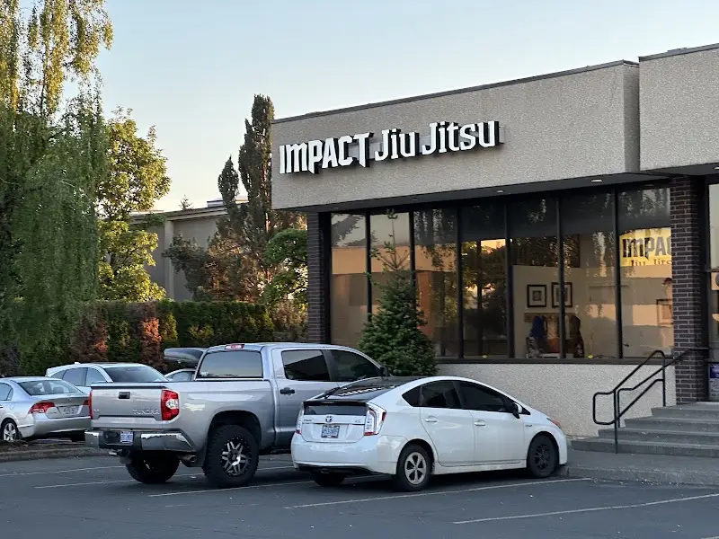 Impact Jiu Jitsu BJJ Academy - photo 1