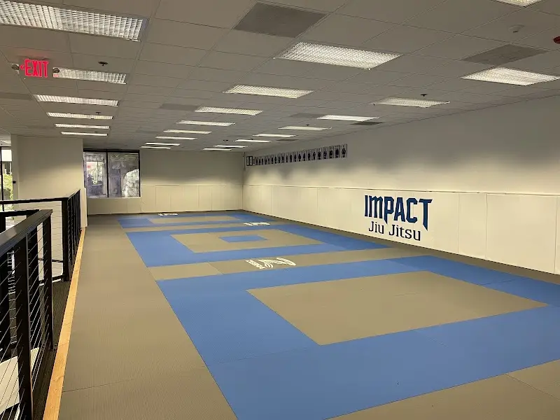 Impact Jiu Jitsu BJJ Academy - photo 2