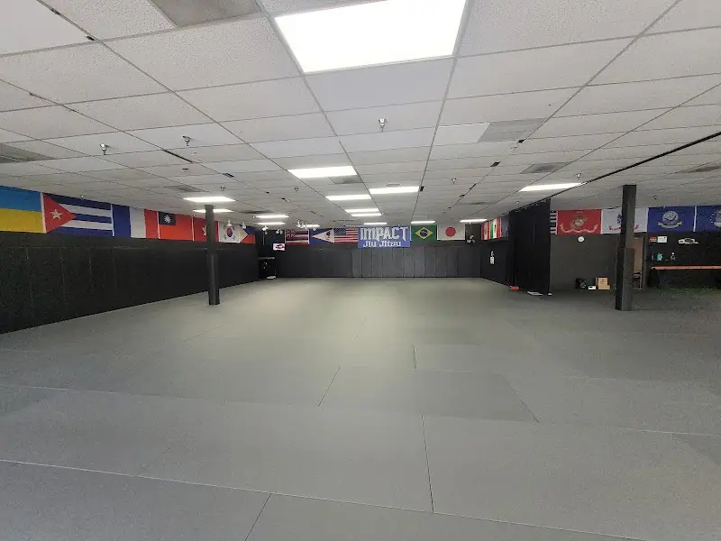 Impact Jiu Jitsu (Hillsboro)