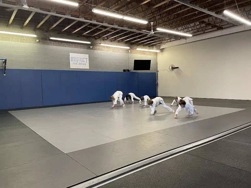Impact Jiu Jitsu Hood River BJJ Academy - photo 1