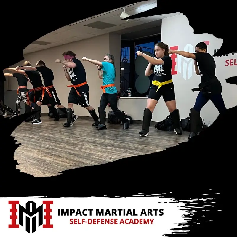 Impact Martial Arts Gallatin BJJ Academy - photo 1