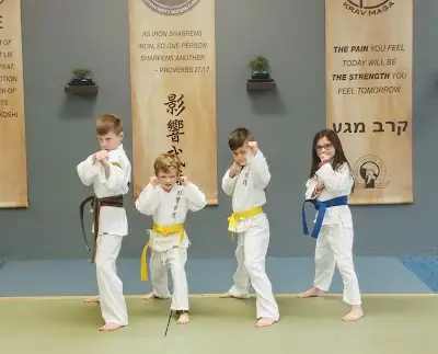 Impact Martial Arts BJJ Academy - photo 2