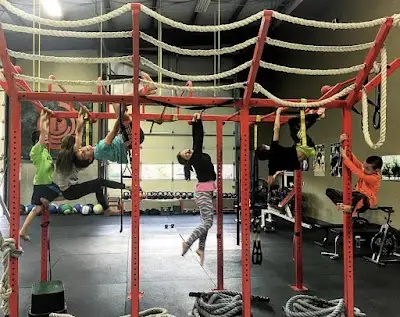 Impact Performance Training BJJ Academy - photo 3