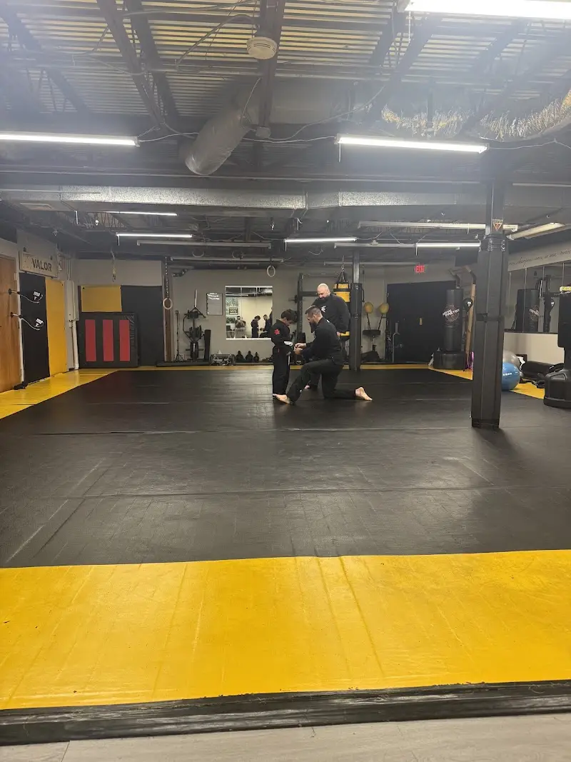 Imperium Martial Arts BJJ Academy - photo 1
