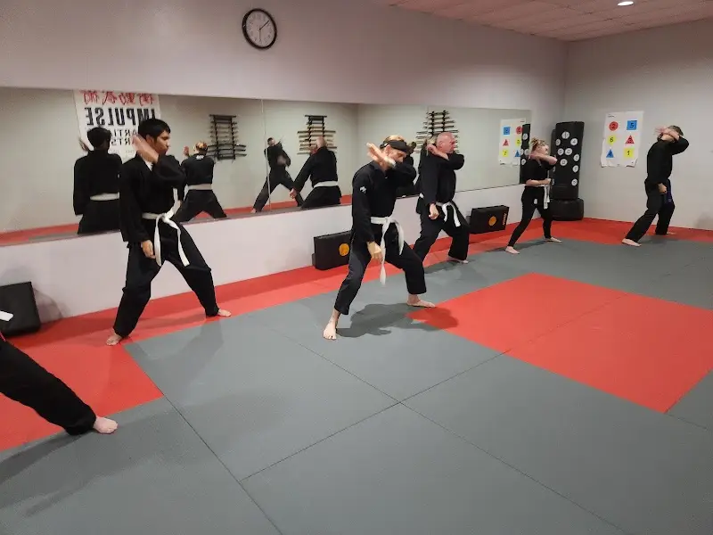Impulse Martial Arts BJJ Academy - photo 1
