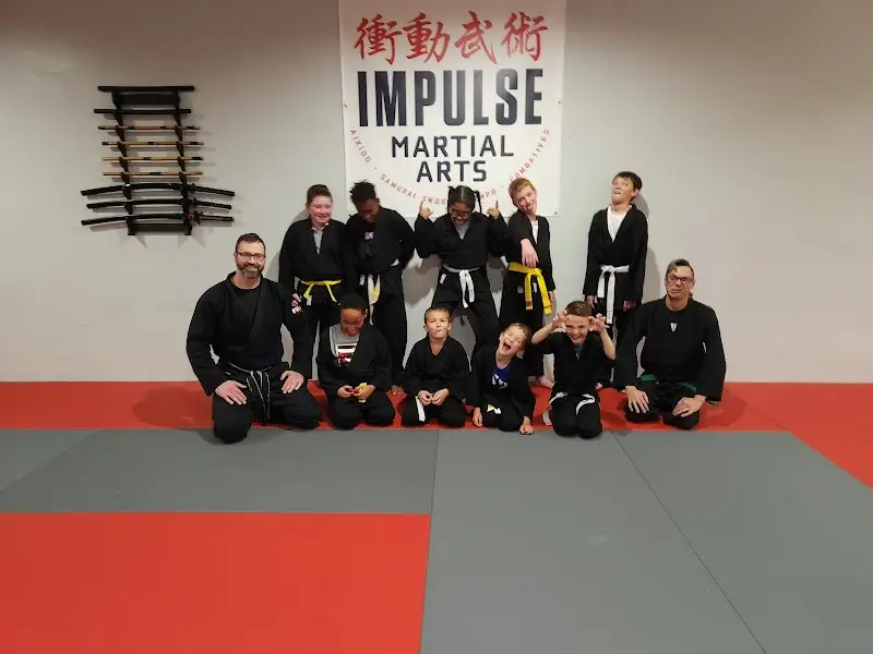 Impulse Martial Arts BJJ Academy - photo 2