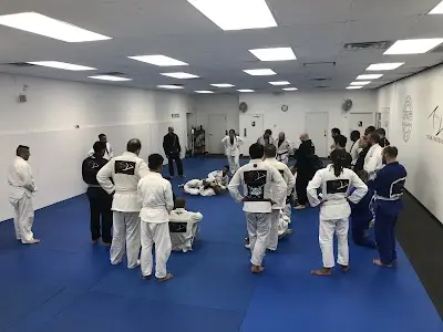 Infinite Brazilian Jiu Jitsu BJJ Academy - photo 1