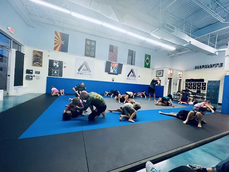Infinite Jiu-Jitsu: Anthem, New River, North Valley BJJ Academy - photo 1