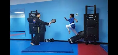 Infinity Taekwondo, LLC BJJ Academy - photo 3