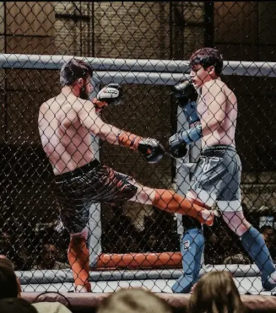 Ingle Martial Arts BJJ Academy - photo 1