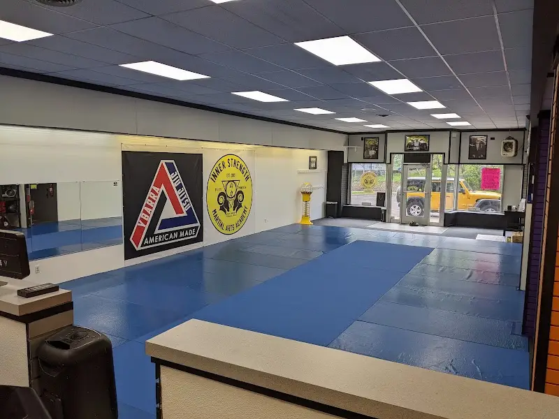 Inner Strength Martial Arts BJJ Academy - photo 2
