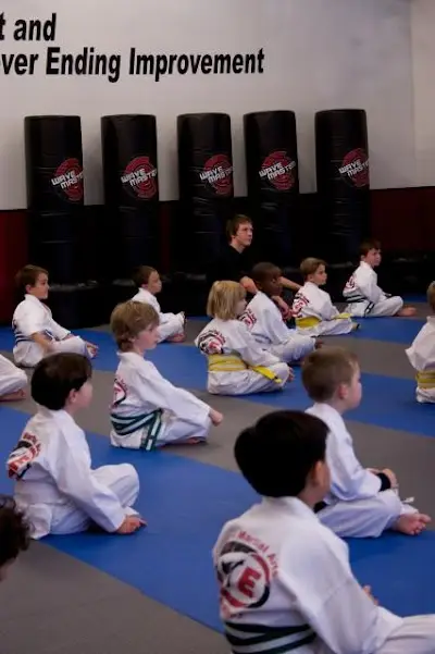 Innovative Martial Arts BJJ Academy - photo 2