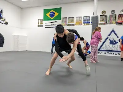 Insight Brazilian Jiu Jitsu /Renzo Gracie BJJ Academy - photo 1