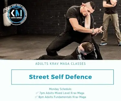 Institute Krav Maga Cork BJJ Academy - photo 2