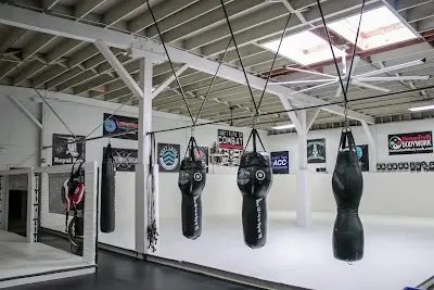 Institute of Combat BJJ Academy - photo 1