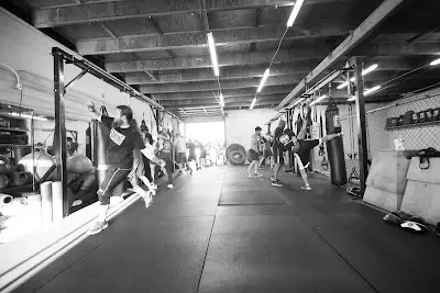 Integrated Fighting Arts Academy