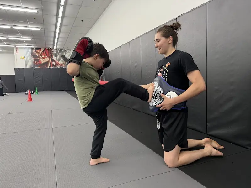 Integrated Martial Arts BJJ Academy - photo 1