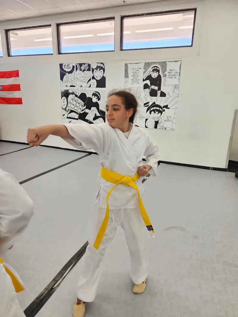 Integrated Martial Arts BJJ Academy - photo 2