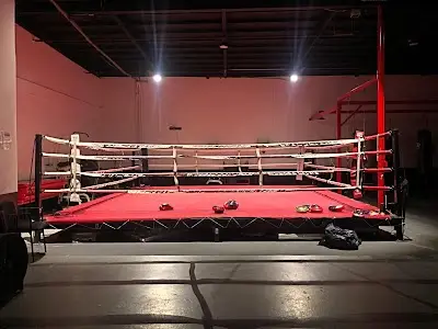 Intensity MMA & Fitness BJJ Academy - photo 3