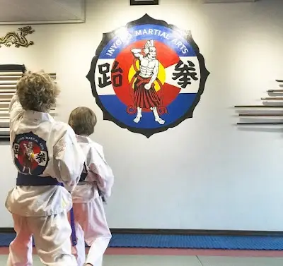 Inyodo Martial Arts BJJ Academy - photo 1