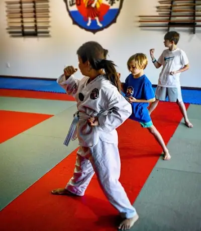 Inyodo Martial Arts BJJ Academy - photo 2