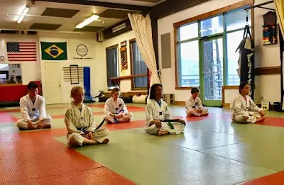 Inyodo Martial Arts BJJ Academy - photo 3