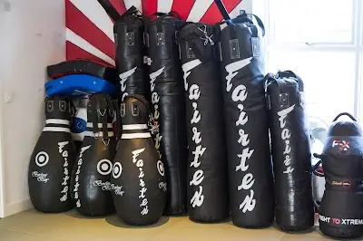 Ippon Gym BJJ Academy - photo 2